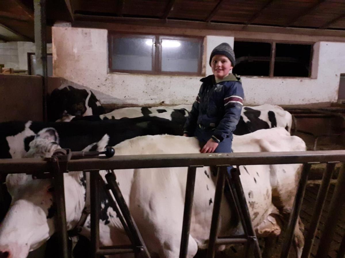Schweiggerhof -Agriturismo- Farm Holidays Вілландро Екстер'єр фото